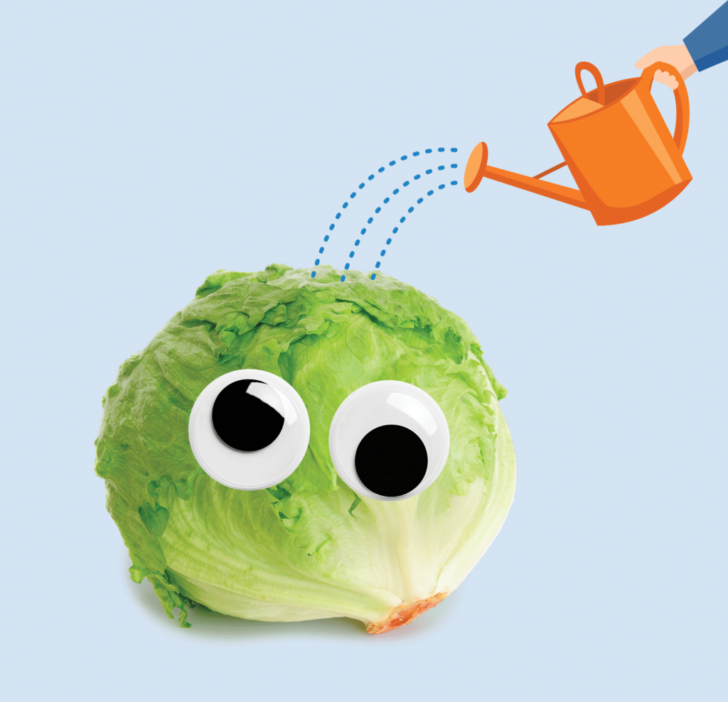 A head of lettuce with googly eyes.