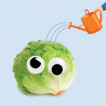A head of lettuce with googly eyes.