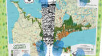 An illustration of the greenbelt being cut in half with scissors