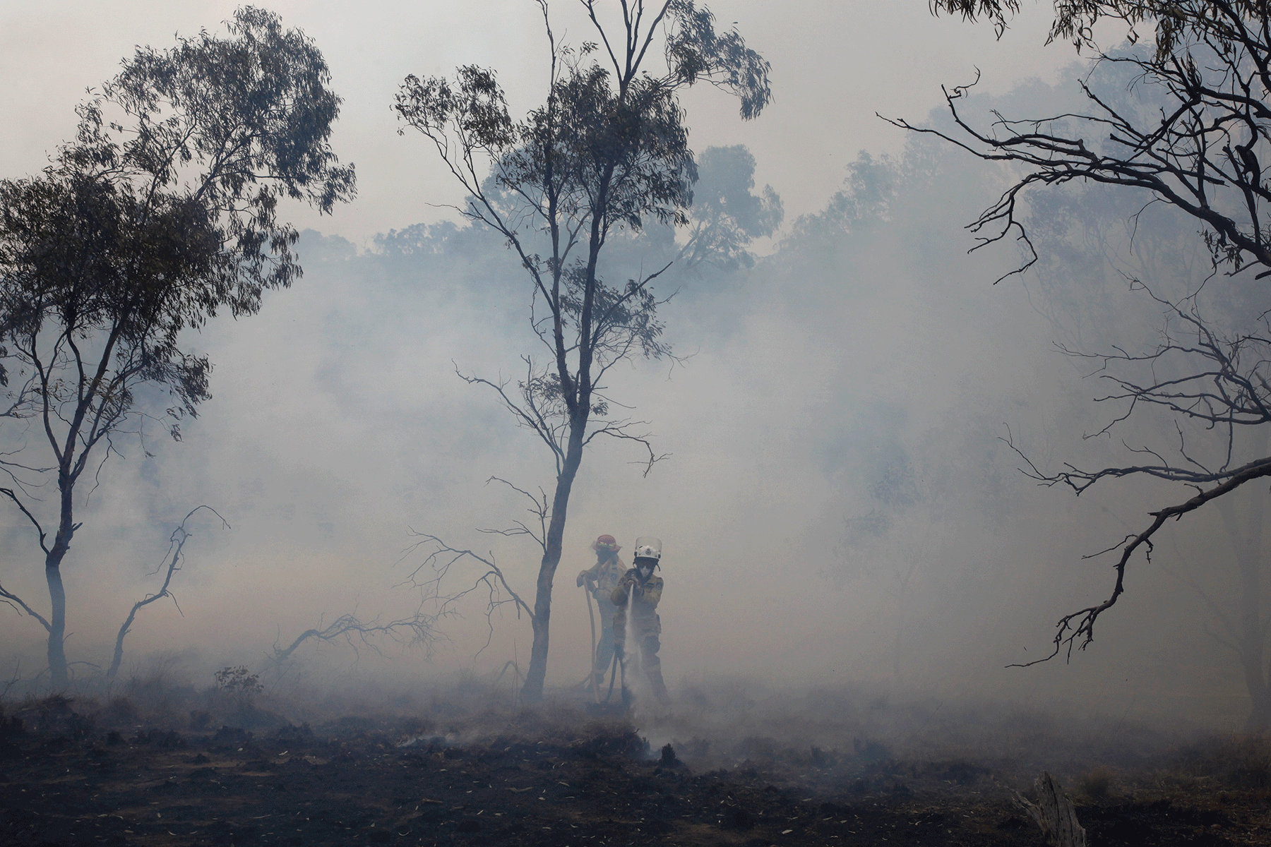 Firefighters battle a bushfire in Bumbalong, New South Wales, Australia, in February 2020 Photo Credit: Jen Osborne