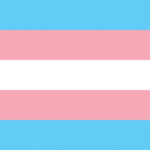 A trans flag.