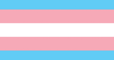 A trans flag.