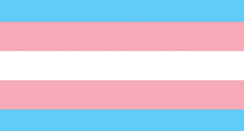 A trans flag.