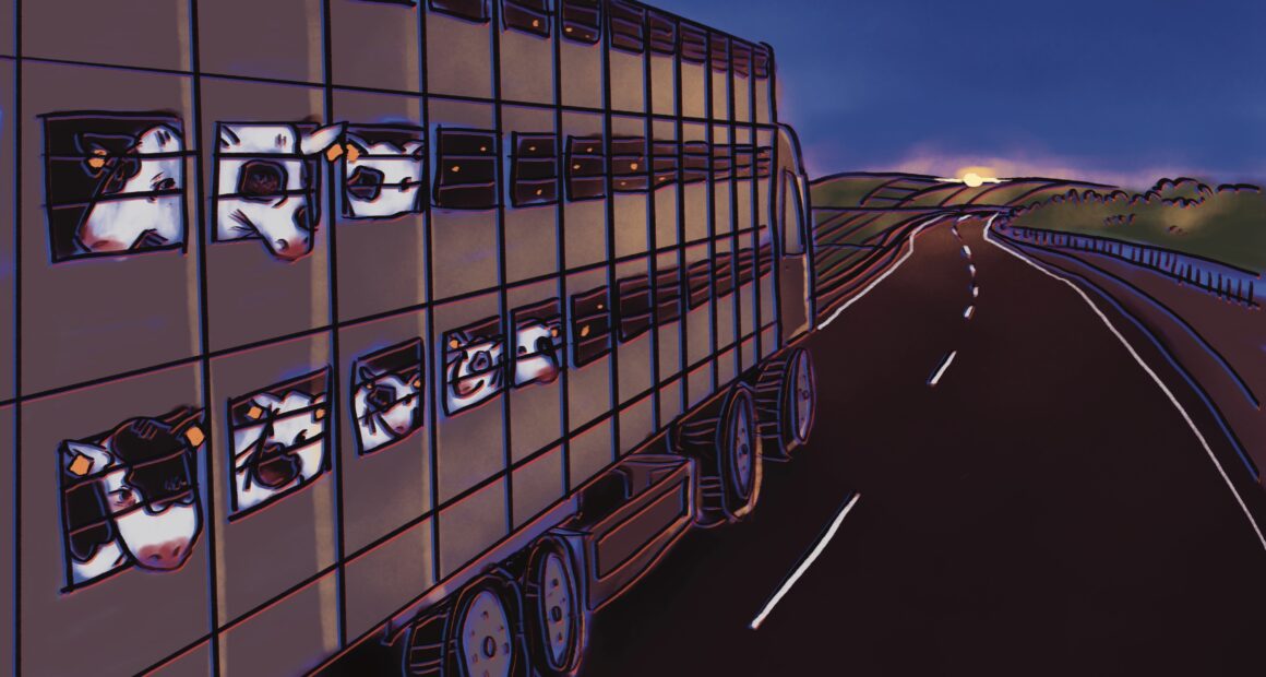 Black and white cows are stacked side-by-side in a wooden brown crated wagon on top of a truck.