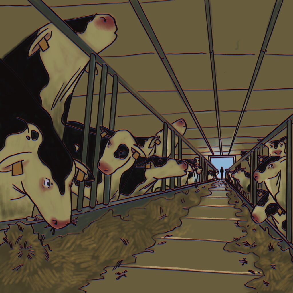 A row of cows are seen against a brown fence with a small figure staring down. 