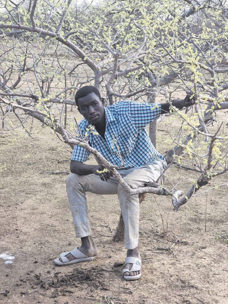(Photography by Mohamed Zakaria)